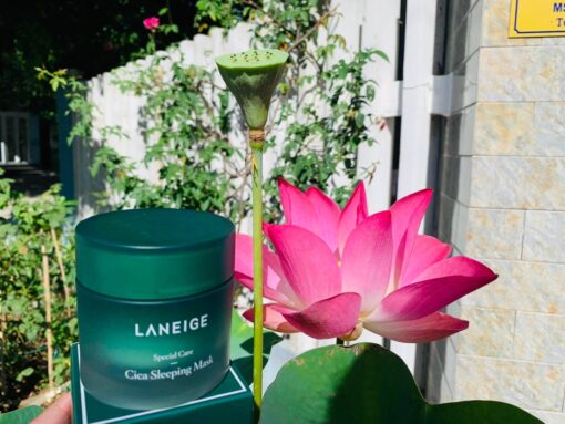 Mặt nạ ngủ Cica Laneige