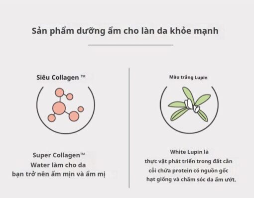 kem dưỡng collagen Etude