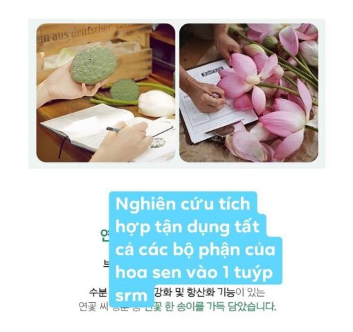 Dầu tẩy trang hoa sen Mamonde