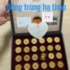 Đông Trùng Hạ Thảo thượng hạng GOLD Hàn Quốc KOREA DONG CHUNG HA CHO HWAN