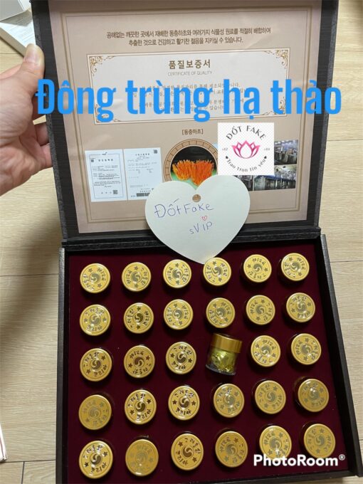 Đông Trùng Hạ Thảo thượng hạng GOLD Hàn Quốc KOREA DONG CHUNG HA CHO HWAN