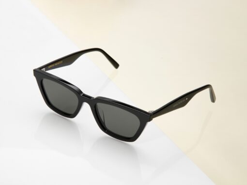 Kính Mát Gentle Monster Agail01 아가일 sunglass