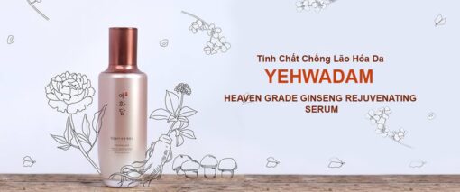 Tinh chất thiên sâm Yehwadam Heaven Grade Ginseng Rejuvenating serum