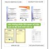 Miếng dán thải độc chân của Slowlab.
